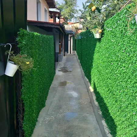 съкровище 3* Panagürişte