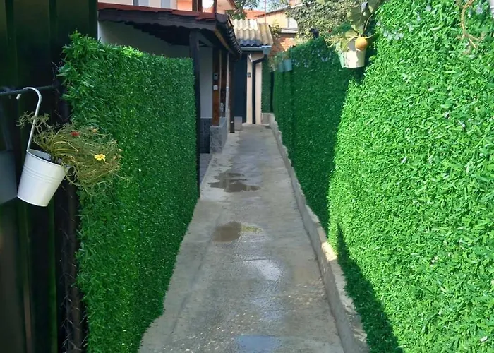 съкровище 3* パナギュリシテ