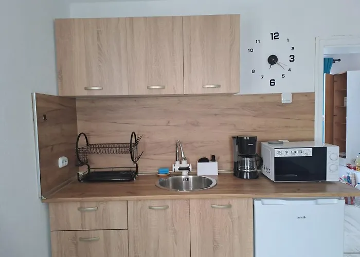 съкровище ゲストハウス パナギュリシテ