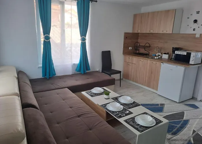 съкровище ゲストハウス パナギュリシテ