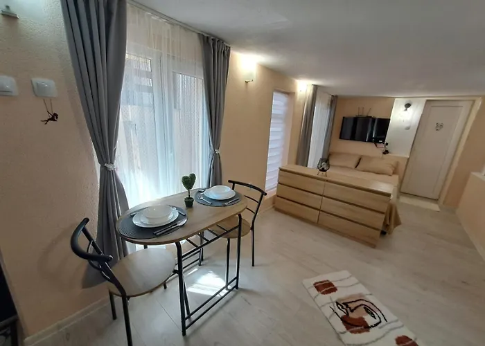 съкровище ゲストハウス