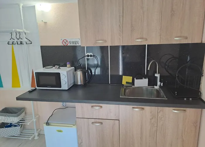 ゲストハウス съкровище パナギュリシテ